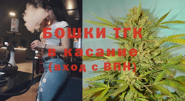 мдпв Пересвет