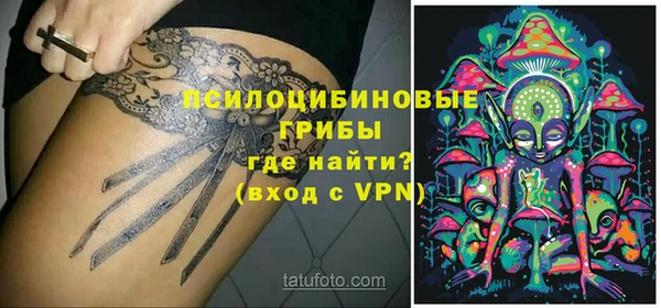 молекула духа Пестово