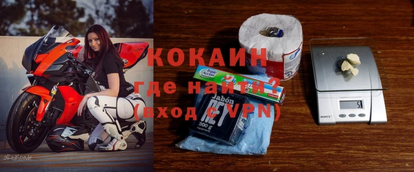молекула духа Пестово