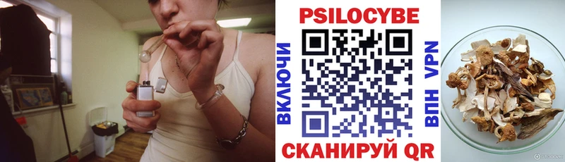 как найти наркотики  Кондопога  Псилоцибиновые грибы Psilocybe 
